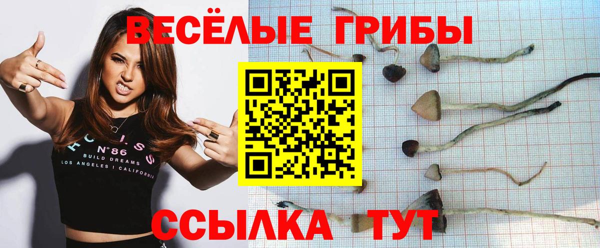 Галлюциногенные грибы ЛСД Орёл